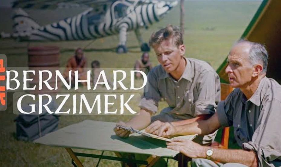 2026 bernhard grzimek